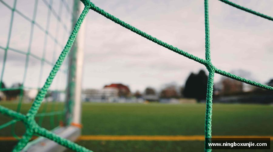 pa视讯平台汗水诠释荣耀，坚定向前